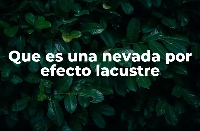 Que es una Nevada por Efecto Lacustre