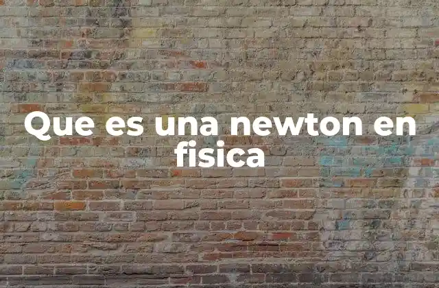 Que es una Newton en Fisica