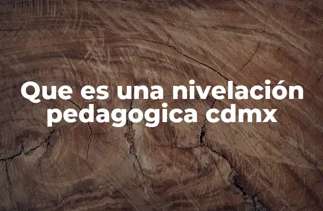 Que es una Nivelación Pedagogica Cdmx