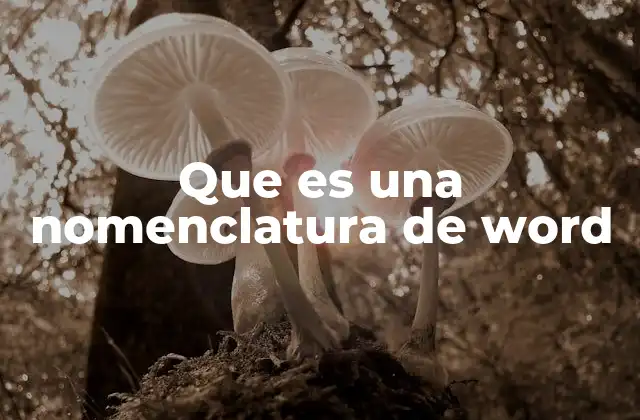 Que es una Nomenclatura de Word
