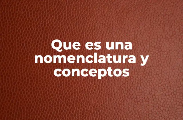 Que es una Nomenclatura y Conceptos