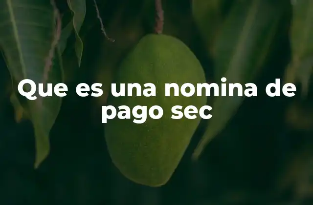 Que es una Nomina de Pago Sec