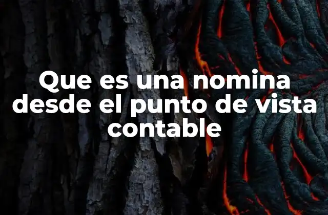 Que es una Nomina desde el Punto de Vista Contable