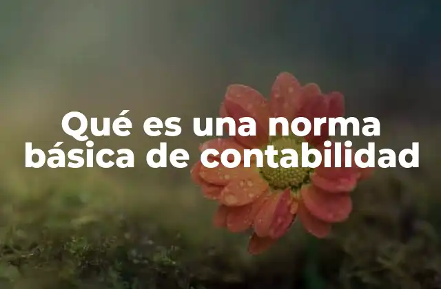 Qué es una Norma Básica de Contabilidad 2 El papel de las normas en la contabilidad empresarial