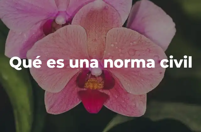 Qué es una Norma Civil