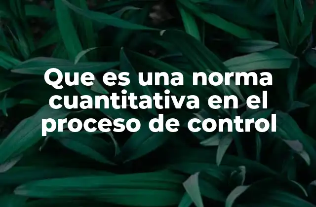 Que es una Norma Cuantitativa en el Proceso de Control