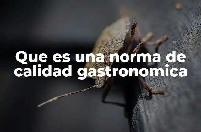 La importancia de las normas en la industria gastronómica