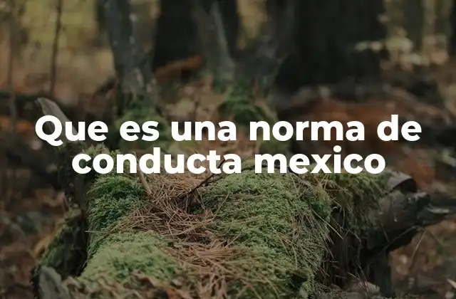 Que es una Norma de Conducta Mexico