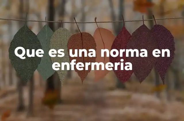 Que es una Norma en Enfermeria