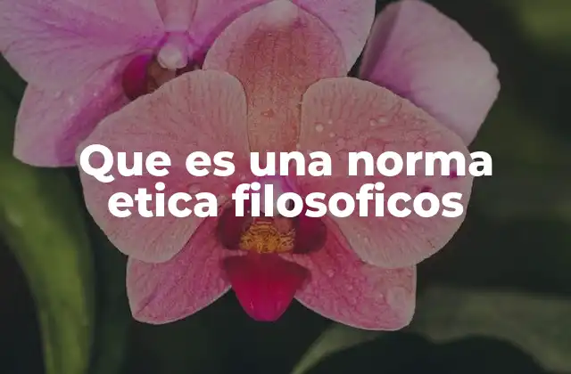 Que es una Norma Etica Filosoficos 2 La importancia de las normas éticas en la toma de decisiones
