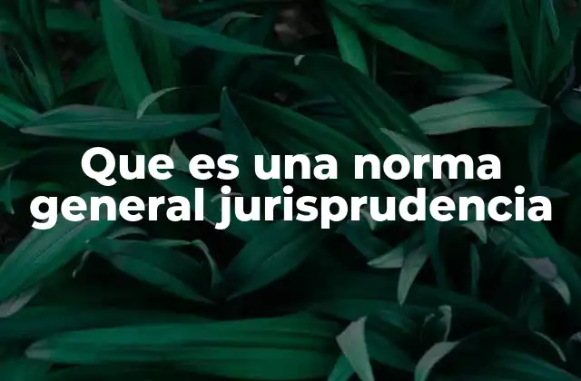 Que es una Norma General Jurisprudencia