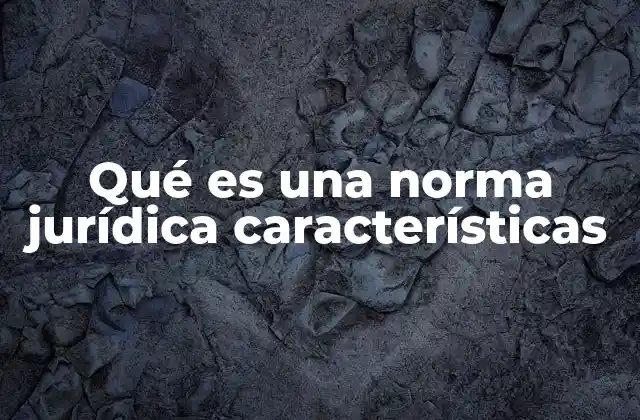Qué es una Norma Jurídica Características
