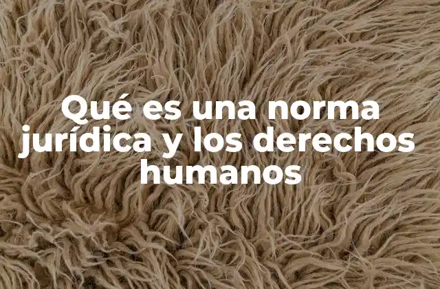 Qué es una Norma Jurídica y los Derechos Humanos
