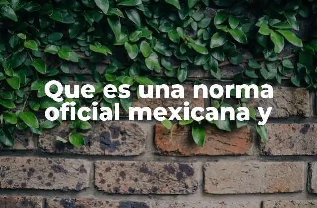 Que es una Norma Oficial Mexicana y
