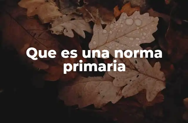 Que es una Norma Primaria