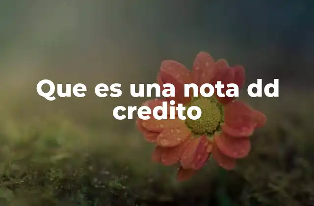 Que es una Nota Dd Credito