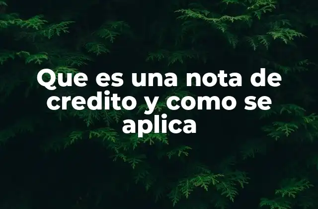 El papel de las notas de crédito en los procesos de devolución y ajuste fiscal