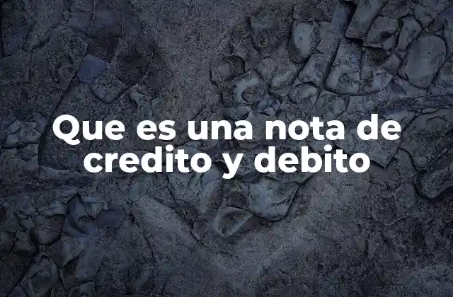 Que es una Nota de Credito y Debito