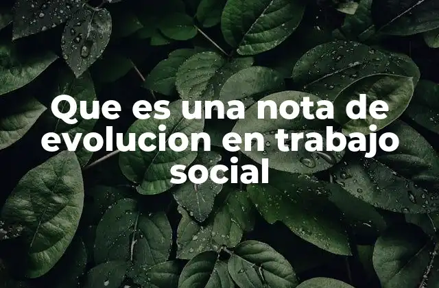 Que es una Nota de Evolucion en Trabajo Social