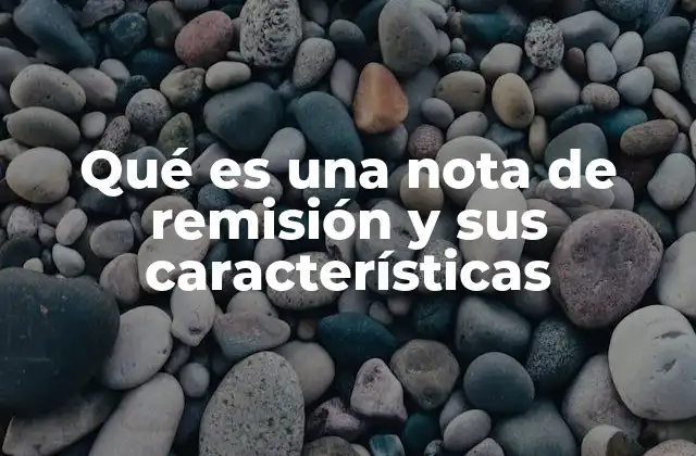 Qué es una Nota de Remisión y Sus Características