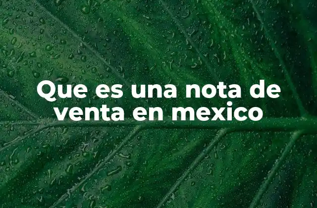 Que es una Nota de Venta en Mexico