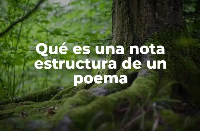 Qué es una Nota Estructura de un Poema