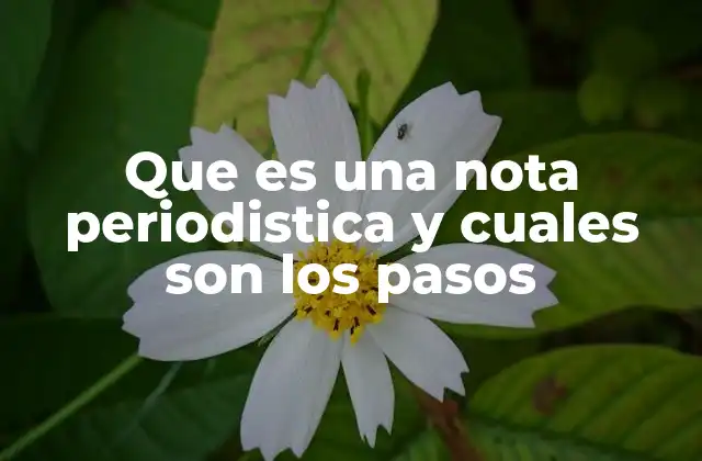 Que es una Nota Periodistica y Cuales Son los Pasos