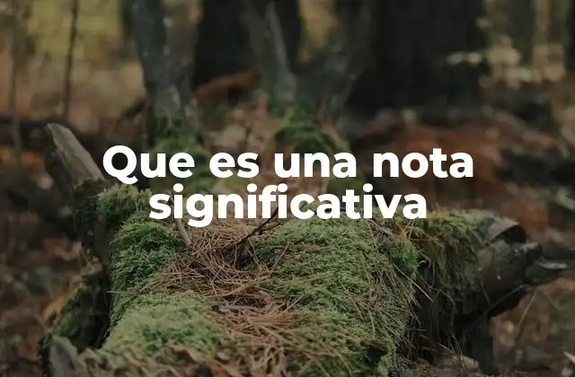 Que es una Nota Significativa