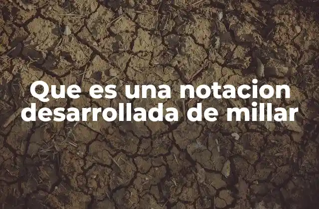 Que es una Notacion Desarrollada de Millar