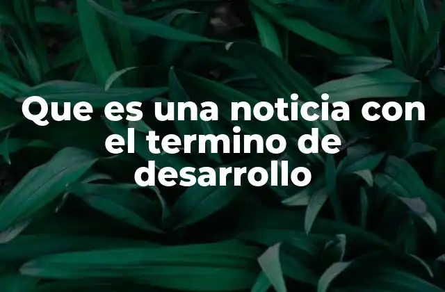 Que es una Noticia con el Termino de Desarrollo