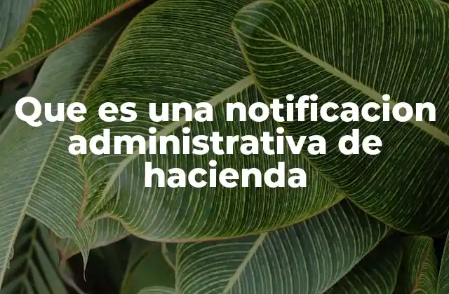 El papel de la notificación en el sistema tributario español