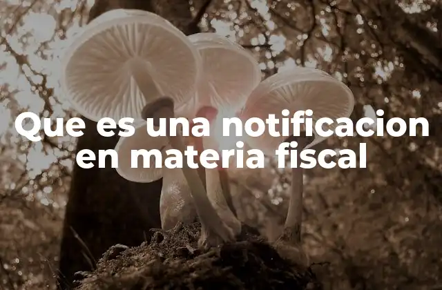 Que es una Notificacion en Materia Fiscal