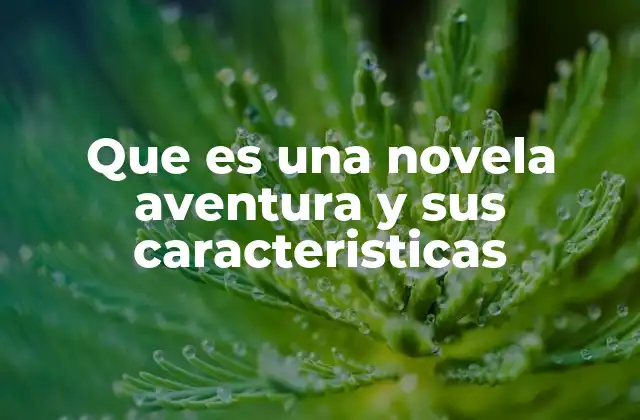 Que es una Novela Aventura y Sus Caracteristicas