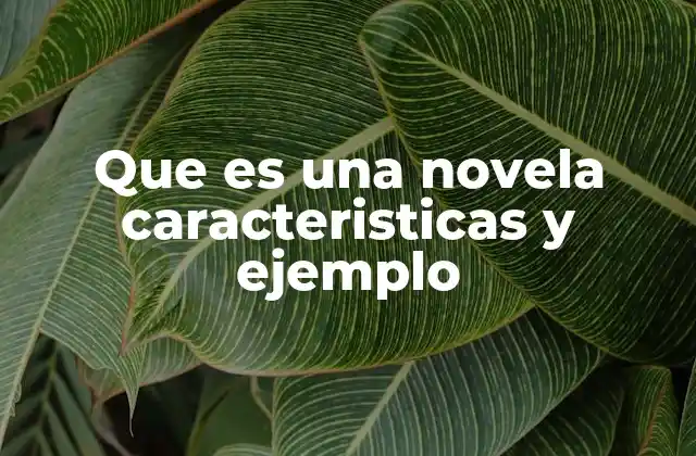 Que es una Novela Caracteristicas y Ejemplo