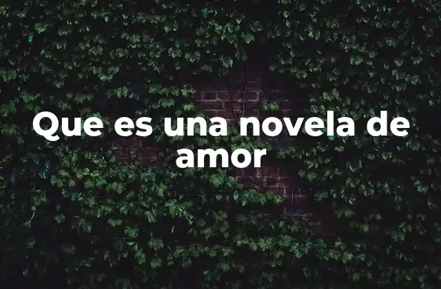 Que es una Novela de Amor