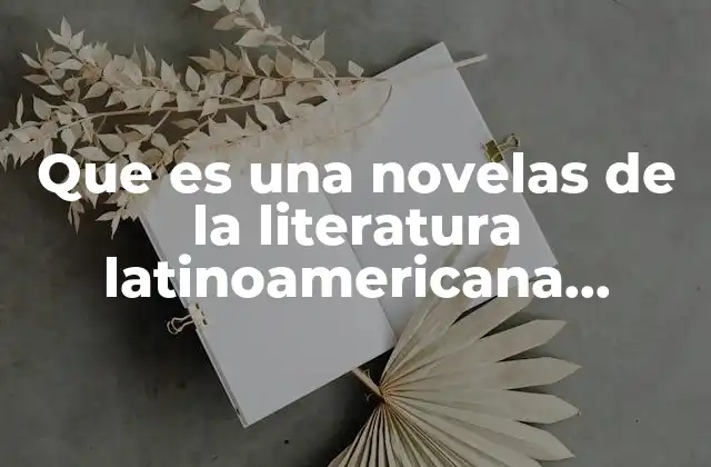 Que es una Novelas de la Literatura Latinoamericana Contemporánea
