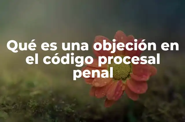 Qué es una Objeción en el Código Procesal Penal
