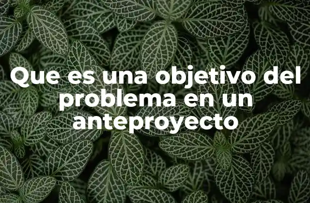 Que es una Objetivo Del Problema en un Anteproyecto