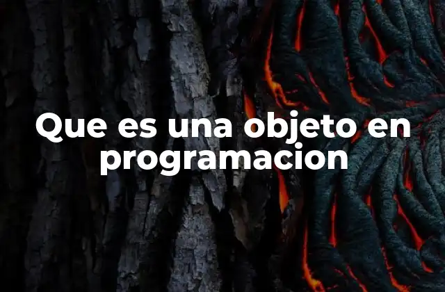 Que es una Objeto en Programacion