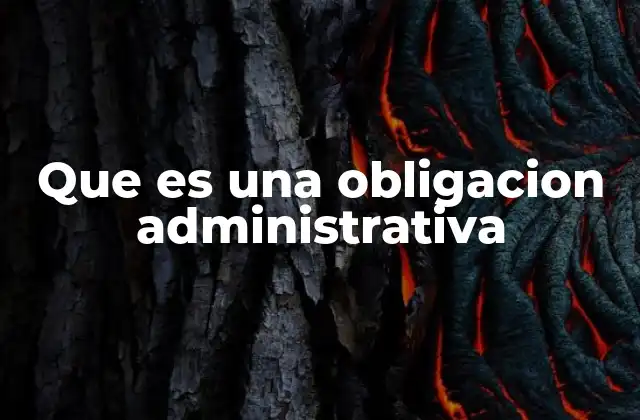 Que es una Obligacion Administrativa