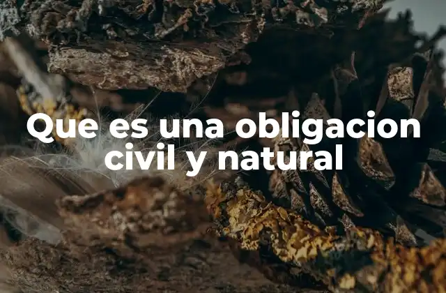 Que es una Obligacion Civil y Natural
