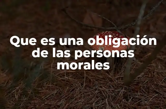Que es una Obligación de las Personas Morales 2 Las responsabilidades legales en el entorno empresarial