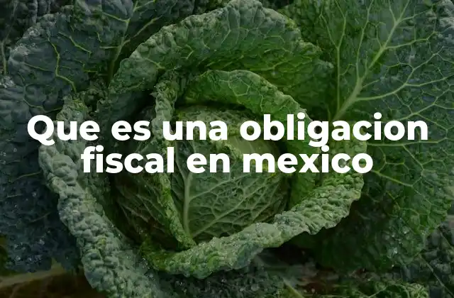 Que es una Obligacion Fiscal en Mexico