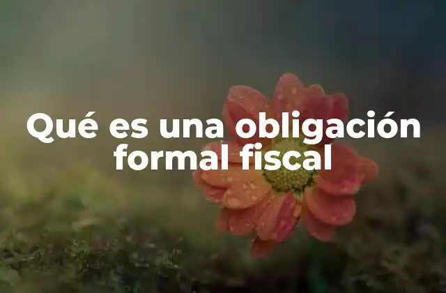 Las obligaciones formales en el marco legal tributario