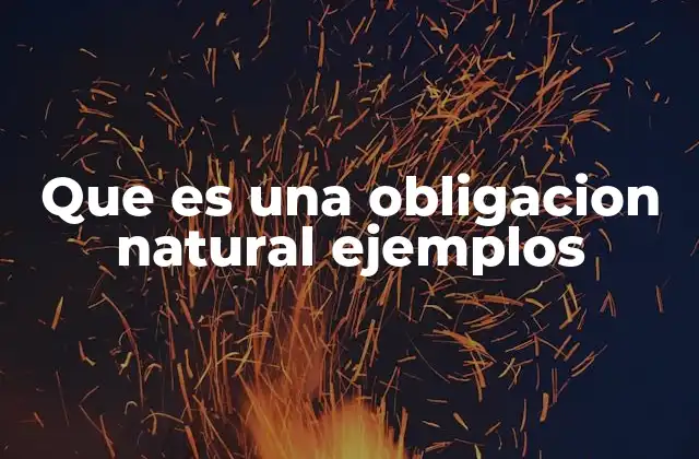 Que es una Obligacion Natural Ejemplos