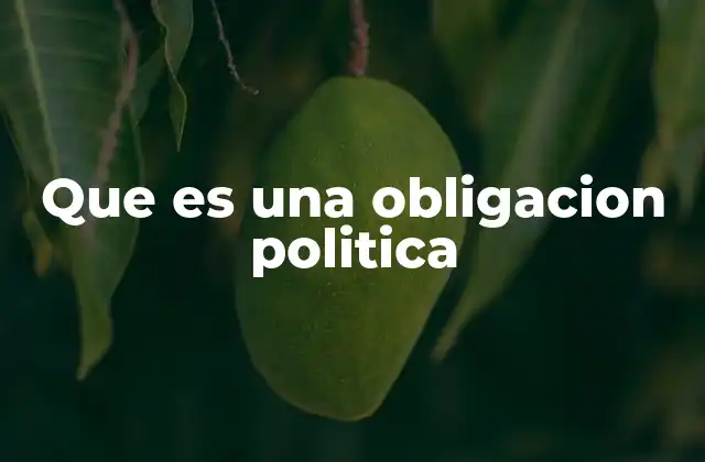 Que es una Obligacion Politica