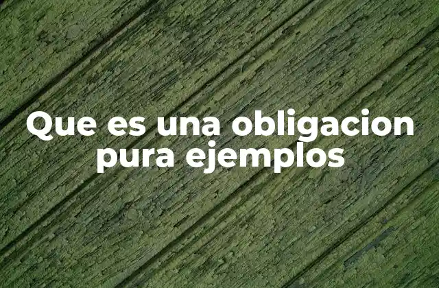 Que es una Obligacion Pura Ejemplos
