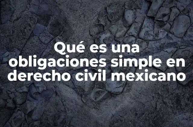 Qué es una Obligaciones Simple en Derecho Civil Mexicano