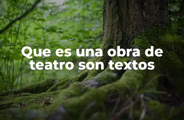 Que es una Obra de Teatro Son Textos