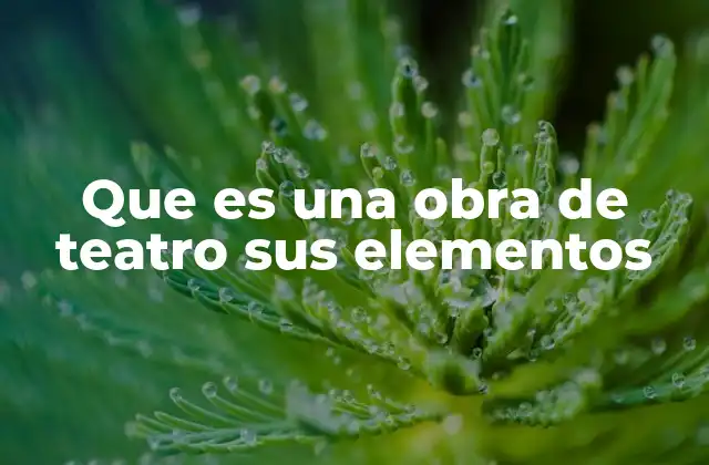 La importancia del texto y la interpretación en la representación escénica
